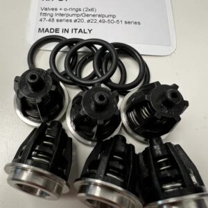 Check Valves for General Pump ZWD, EZ, TS, and RW Series Pumps Kit G1
