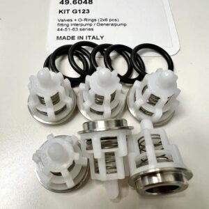 Check Valves for General Pump 4GPM Kit 123